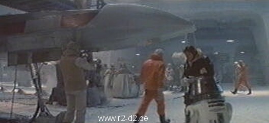 A white R5 with black head