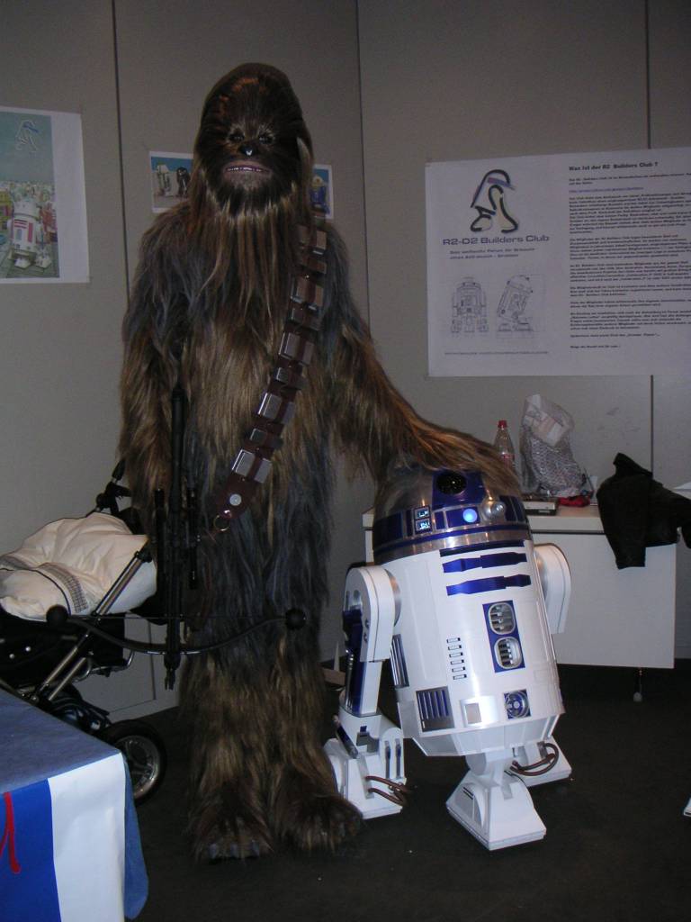 A hairy visitor at the R2 builder´s room